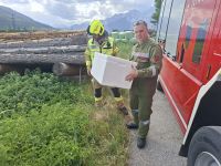 2026-05-30_einsatz_ringelnatter_web
