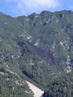 2026-07-16_waldbrand_wildermieming_13